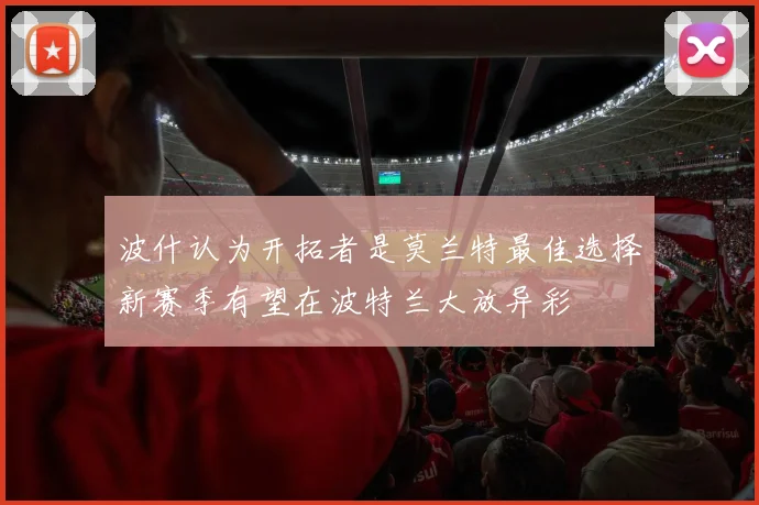波什认为开拓者是莫兰特最佳选择新赛季有望在波特兰大放异彩