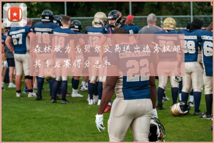 森林狼为戈贝尔交易送出选秀权超其季后赛得分总和